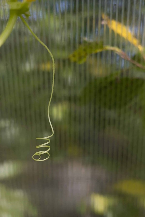 Comment le fitness peut-il être adapté pour les personnes souffrant de troubles respiratoires ?